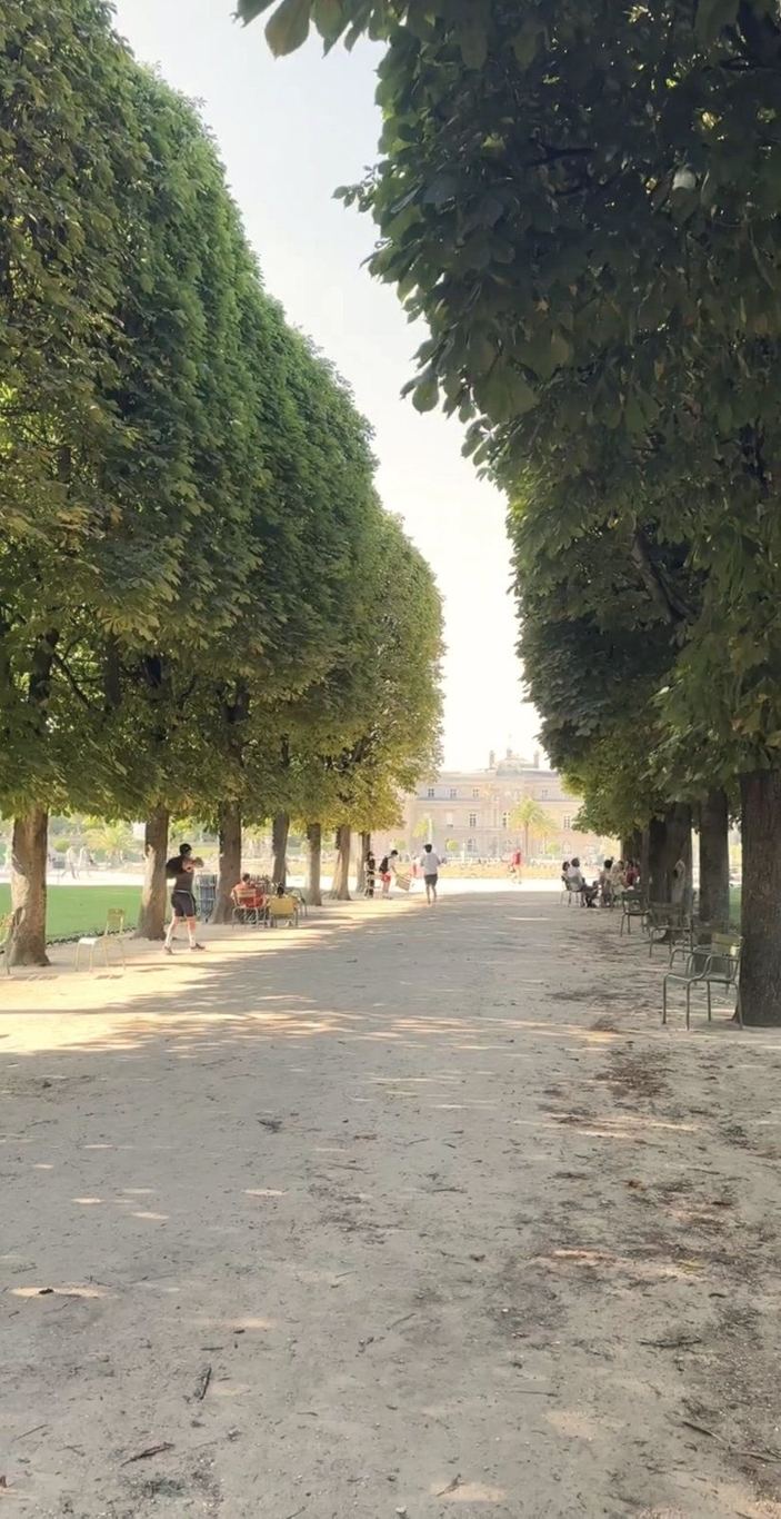 A tree-lined garden allée in Paris with dappled light