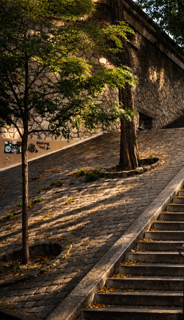 A Montmartre staircase beside a cobbled ramp and trees